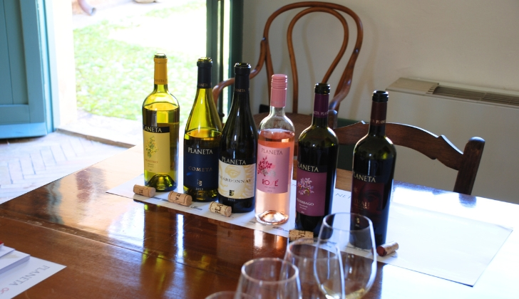 Wine Tasting Tours